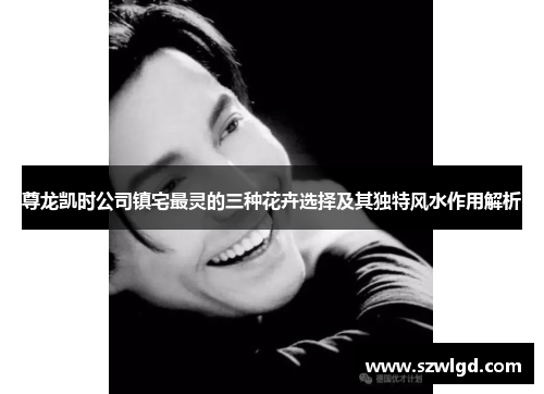 尊龙凯时公司镇宅最灵的三种花卉选择及其独特风水作用解析