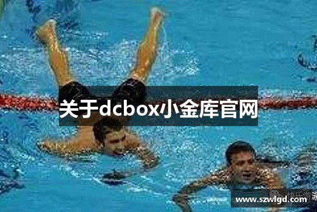 关于dcbox小金库官网